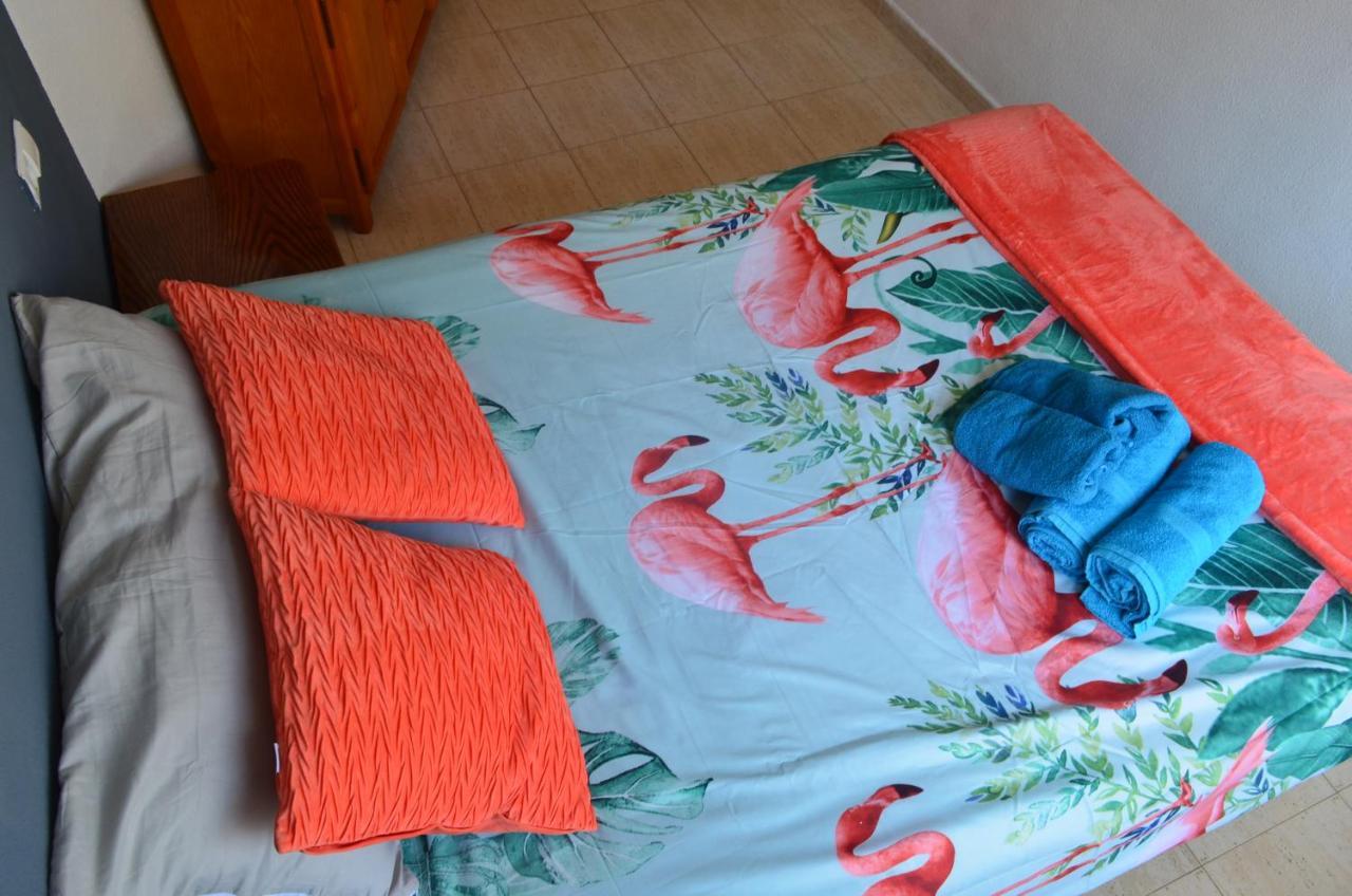 Apartamento Belsol 托雷维耶哈 外观 照片